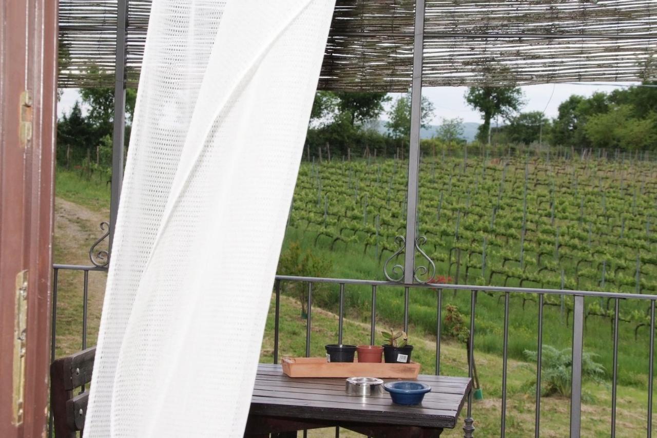 Il Pino Bioagricoltura Vila Terranuova Bracciolini Exterior foto